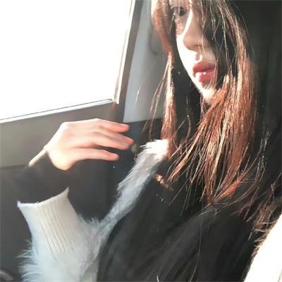 狮子王3